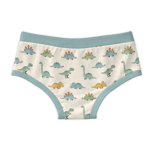 ABDL Dinosaur Briefs for Adults, 100% Cotton Men's Underwear, Cute Dino Print, Adult Baby Underwear, Kawaii Dinosaur Briefs