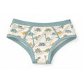 ABDL Dinosaur Briefs for Adults, 100% Cotton Men's Underwear, Cute Dino Print, Adult Baby Underwear, Kawaii Dinosaur Briefs