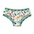 White 100% cotton adult briefs featuring an all-over colorful print of green, orange, yellow, and navy dinosaurs, volcanoes, and teal-green elastic trim.